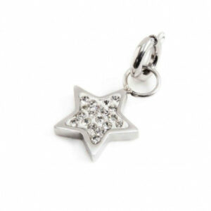 Charm acciaio strass bianchi stella