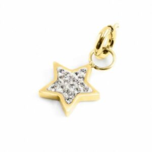 Charm oro pvd strass bianchi stella