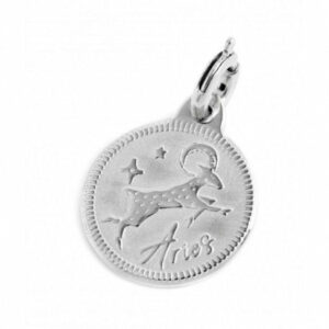 Charm zodiaco acciaio