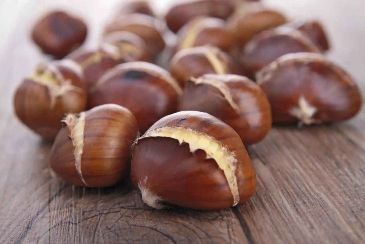 Castagne bollite o al forno? Cosa cambia davvero