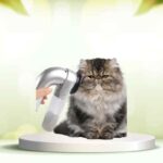 Elimina i peli degli animali in casa: prova SpazzolAmica per una pulizia perfetta